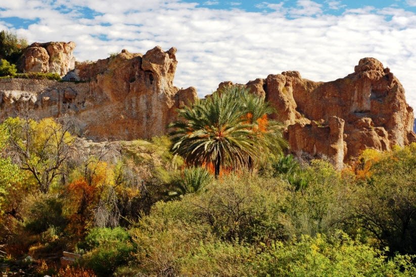 Boyce Thompson Arboretum, United States